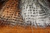 Barred synthetic Pseudo Hair for fly tying