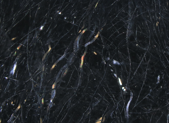 Hareline Ripple Ice Fiber Black