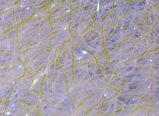 Hareline Ripple Ice Fiber UV Pearl