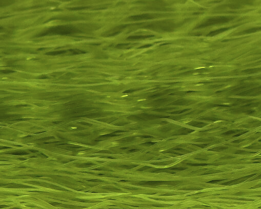 Hareline Supreme Super Hair Olive