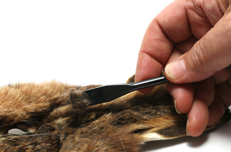 Hareline Ceramic Zirconia Dubbing Rake 3