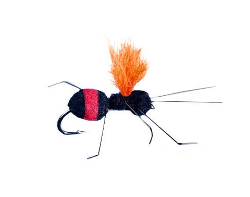 Rainys Carpenter Ant Red Butt