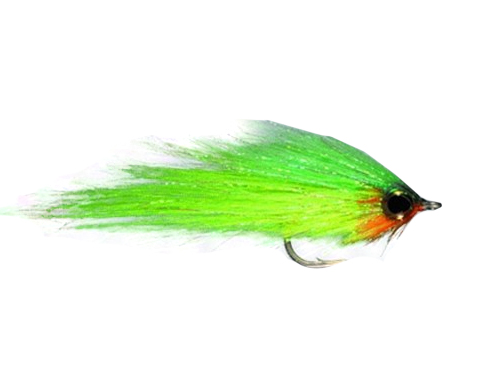 hamilton bush pig streamer fly