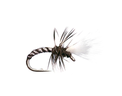 Haslams Death Midge trout fly