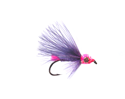 Steelhead Candy fly for sale online.