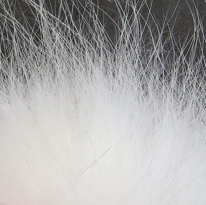 Hareline Arctic Fox Hair Fly Tying Material Is Great For Tying Streamer Wings And Collars for Salmon Flies, Steelhead Flies And