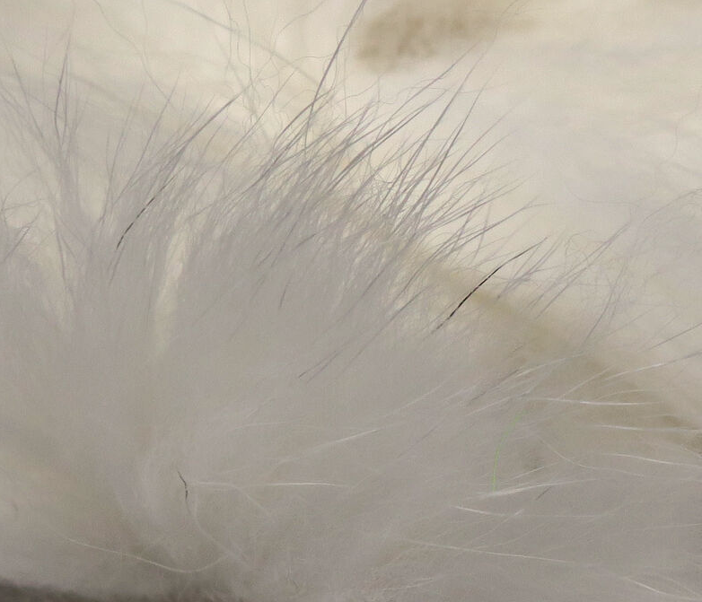 Hareline Arctic Fox Zonker Fly Tying Material Is Perfect For Collars And Wings When Tying Flies For Steelhead, Salmon And Bass