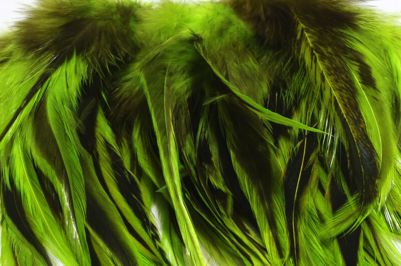 Shop the best fly tying feathers online.