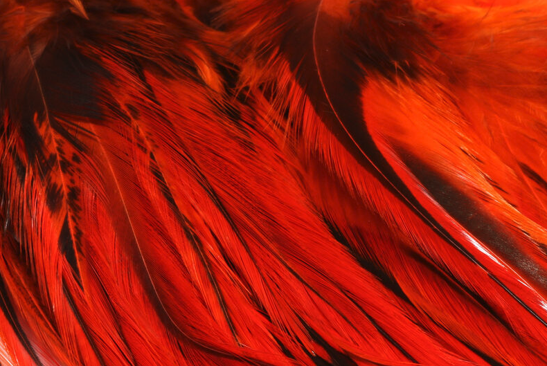 Buy Hareline fly tying materials online at The Fly Fishers.