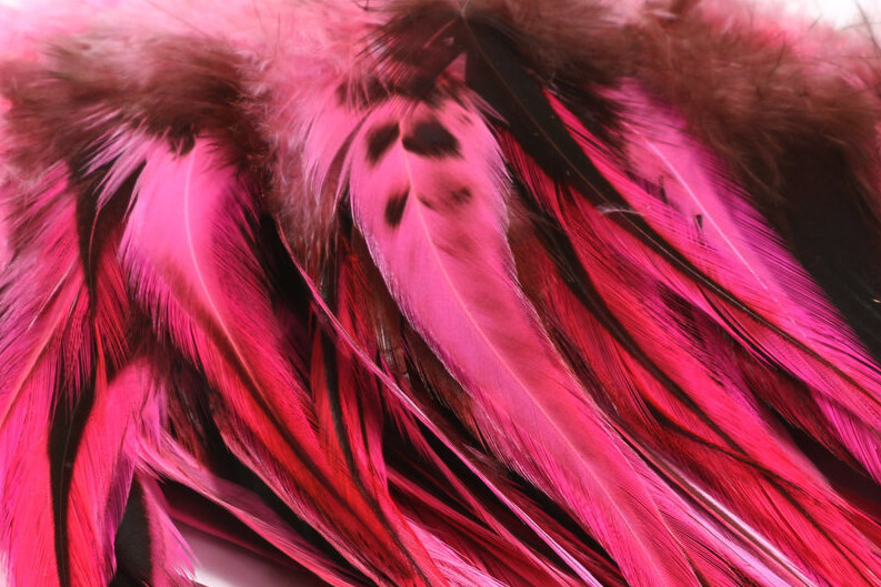 The best online selection of fly tying feathers and materials.