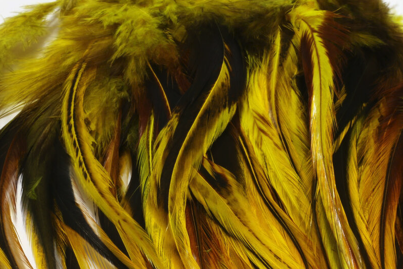 Buy fly tying materials for flies online.