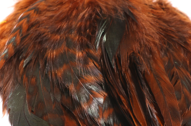 Order fly tying feathers online at the best prices.