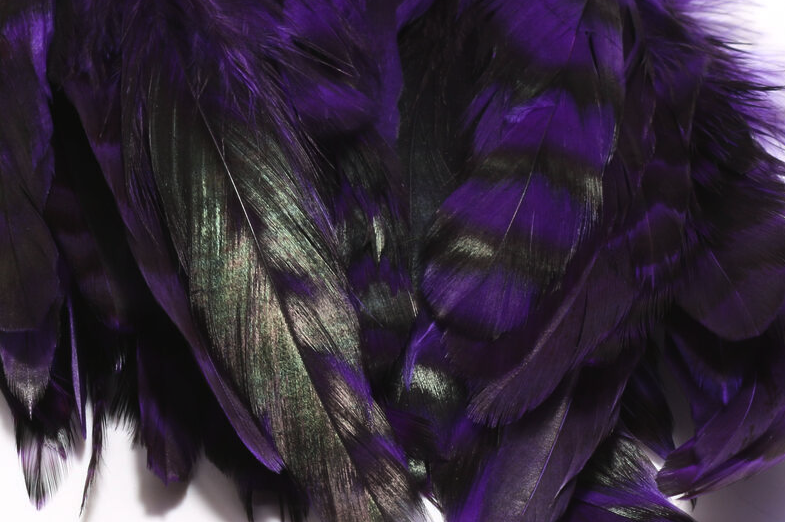 Shop fly tying materials for sale online at TheFlyFishers.com