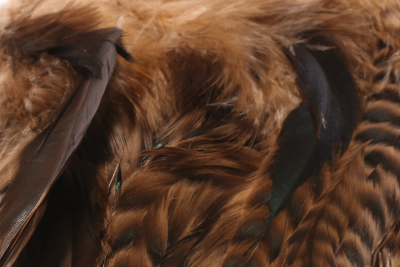 Streamer fly tying materials for sale online.