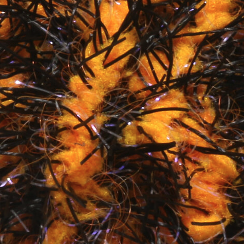 Crawfish fly tying material available now