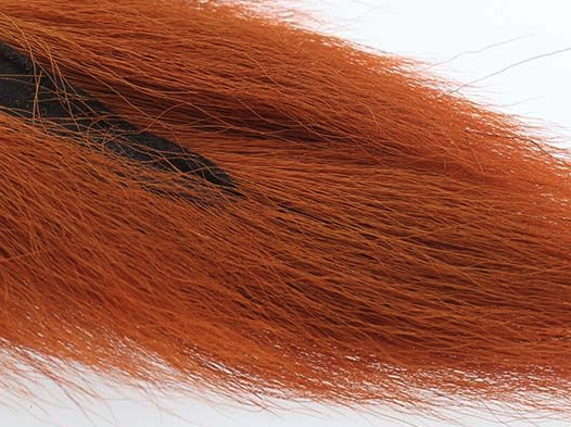 Northern Bucktails Are One Of The Best Fly Tying Materials You Can Use When Tying Bass Flies, Muskie Flies And Pike Flies