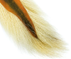 Northern Bucktails Are One Of The Best Fly Tying Materials You Can Use When Tying Bass Flies, Muskie Flies And Pike Flies
