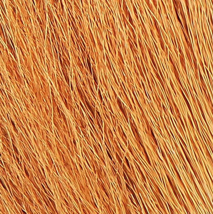 Northern Bucktails Are One Of The Best Fly Tying Materials You Can Use When Tying Bass Flies, Muskie Flies And Pike Flies