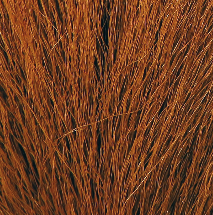 Northern Bucktails Are One Of The Best Fly Tying Materials You Can Use When Tying Bass Flies, Muskie Flies And Pike Flies