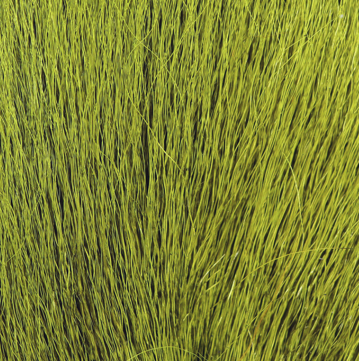 Northern Bucktails Are One Of The Best Fly Tying Materials You Can Use When Tying Bass Flies, Muskie Flies And Pike Flies