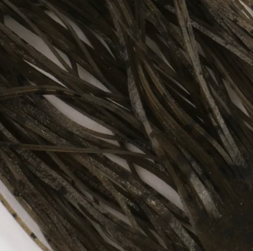 Hareline Buggy Nymph Legs Fly Tying Material Are Perfect  For Adding Color and Movement To Streamers And Nymphs For Bass Flies,