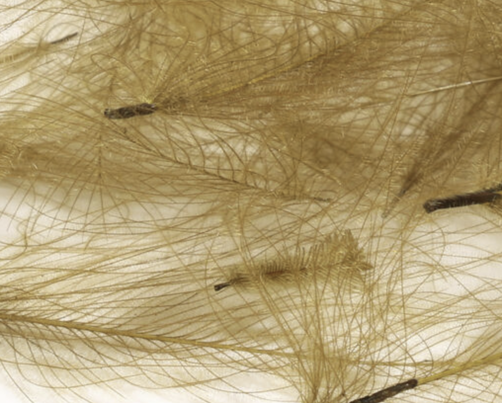 Hareline Cul de Canard 1 Gram Packs available online work great as collars on wet flies