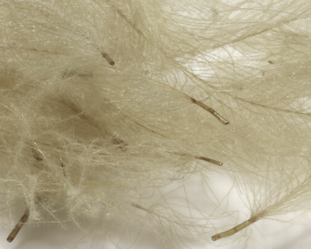 Hareline Cul de Canard 1 Gram Packs for sale online