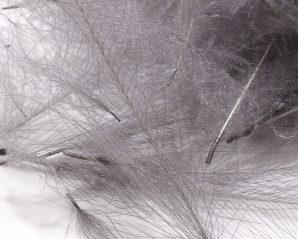 Hareline Cul de Canard 1 Gram Packs give life like motion to dry flies