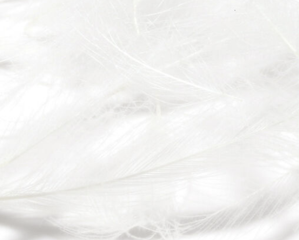 Hareline Cul de Canard 1 Gram Packs works great when tying trout flies such as nymphs, emergers and dry flies