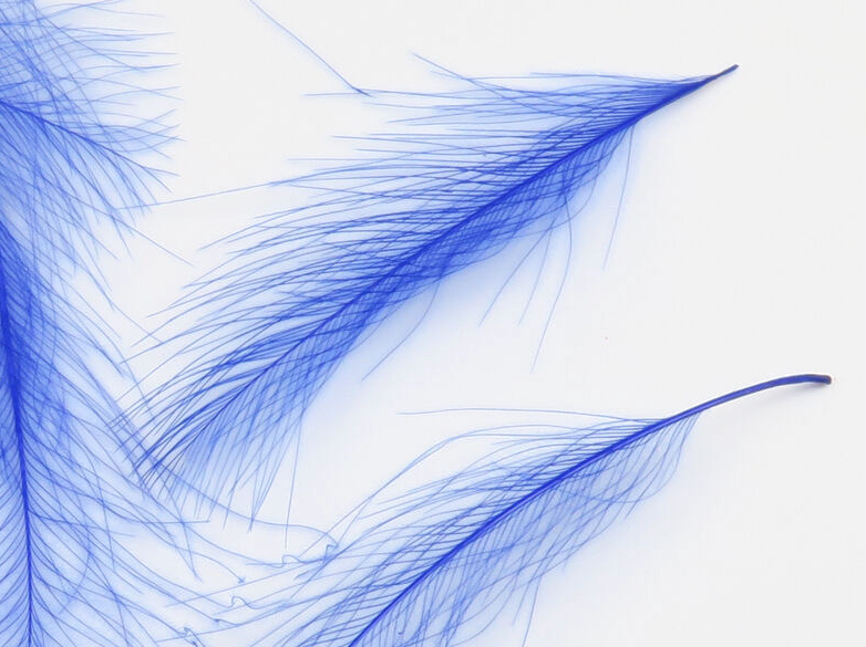 Hareline CDC Feathers Fly Tying Material Is Perfect For Tying Dry Flies And Nymph Fly Patterns When Fly Tying Trout Flies