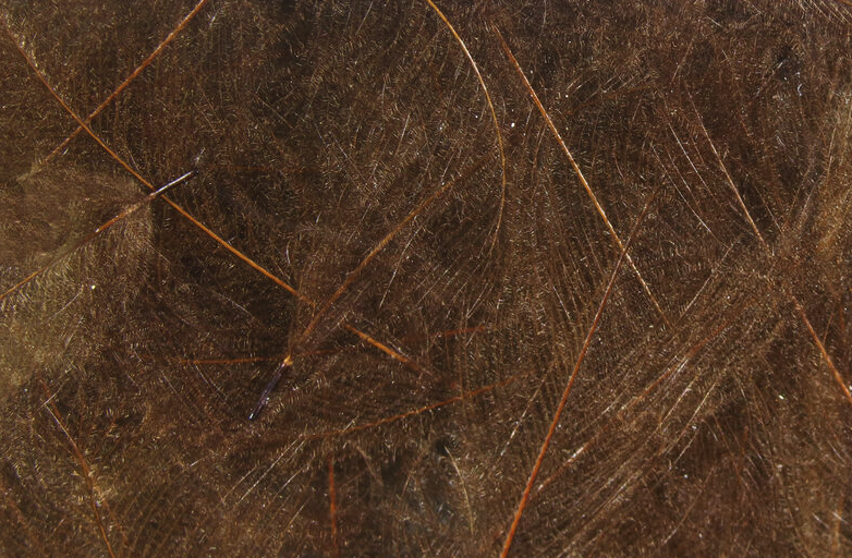 Hareline CDC Feathers Fly Tying Material Is Perfect For Tying Dry Flies And Nymph Fly Patterns When Fly Tying Trout Flies