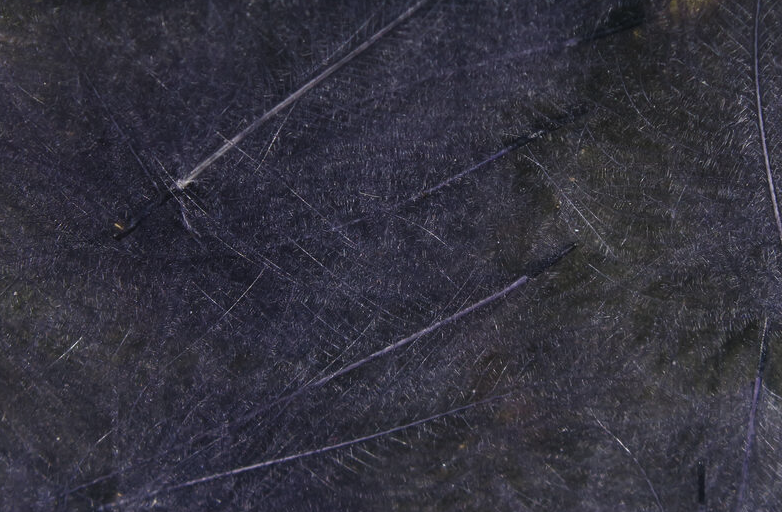 Hareline CDC Feathers Fly Tying Material Is Perfect For Tying Dry Flies And Nymph Fly Patterns When Fly Tying Trout Flies