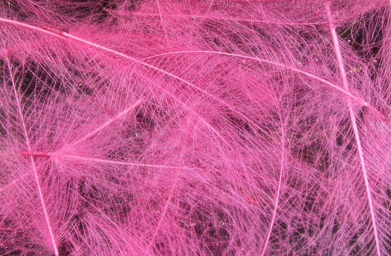 Hareline CDC Feathers Fly Tying Material Is Perfect For Tying Dry Flies And Nymph Fly Patterns When Fly Tying Trout Flies