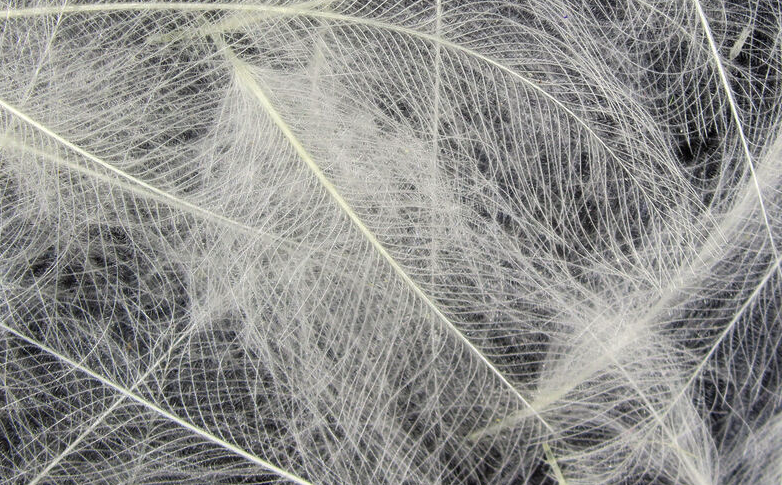 Hareline CDC Feathers Fly Tying Material Is Perfect For Tying Dry Flies And Nymph Fly Patterns When Fly Tying Trout Flies