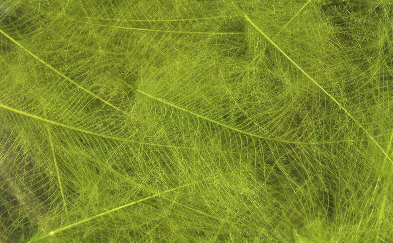 Hareline CDC Feathers Fly Tying Material Is Perfect For Tying Dry Flies And Nymph Fly Patterns When Fly Tying Trout Flies