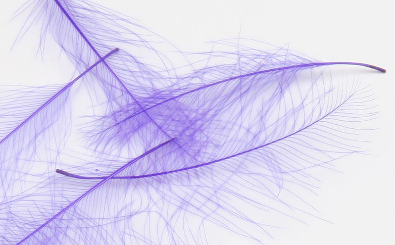 Hareline CDC Feathers Fly Tying Material Is Perfect For Tying Dry Flies And Nymph Fly Patterns When Fly Tying Trout Flies