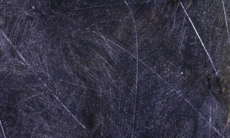 Hareline CDC Feathers Fly Tying Material Is Perfect For Tying Dry Flies And Nymph Fly Patterns When Fly Tying Trout Flies