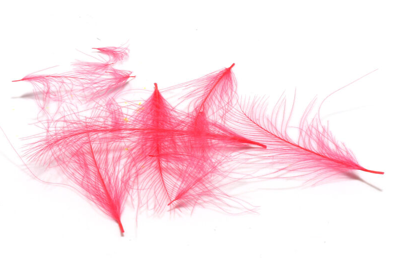 Buy CDC feathers for fly tying trout flies online.