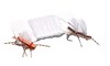 Chubby Chernobyl white wing tying material