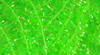 Hareline Cactus Chenille Fly Tying Material Is The Perfect Way To Add Flash And Color While Fly Tying Streamers And Fly Tying Sh