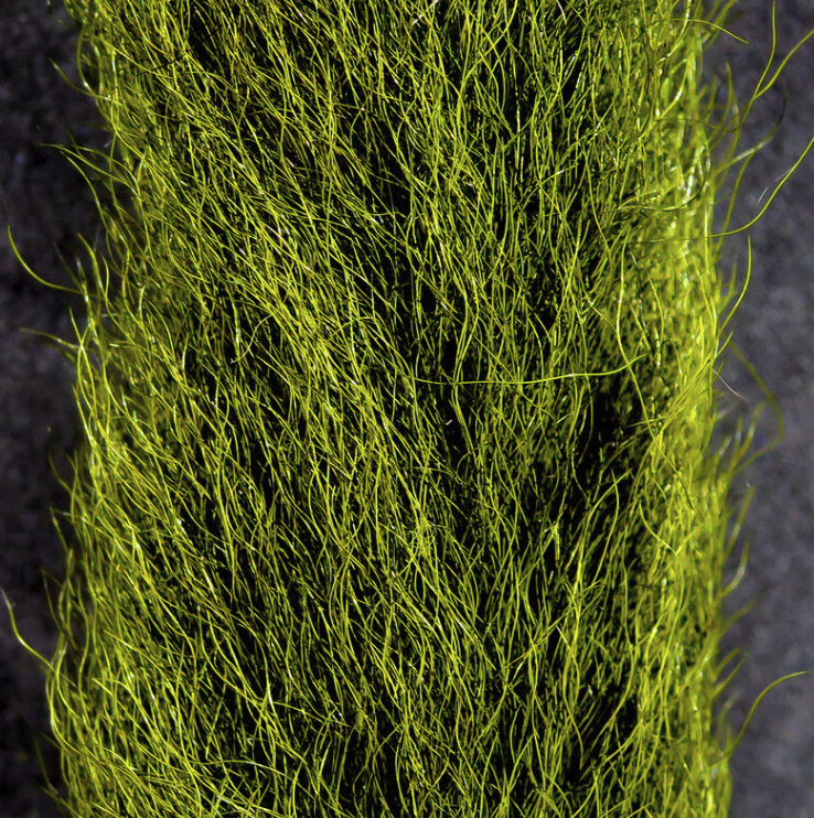 Superior calf tail for professional fly tyers