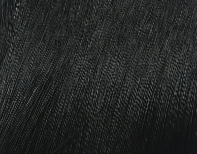 Hareline Coastal Blacktail Deer Body Hair Fly Tying Material Is A Great Fly Tying Material For Tying Trout Dry Flies