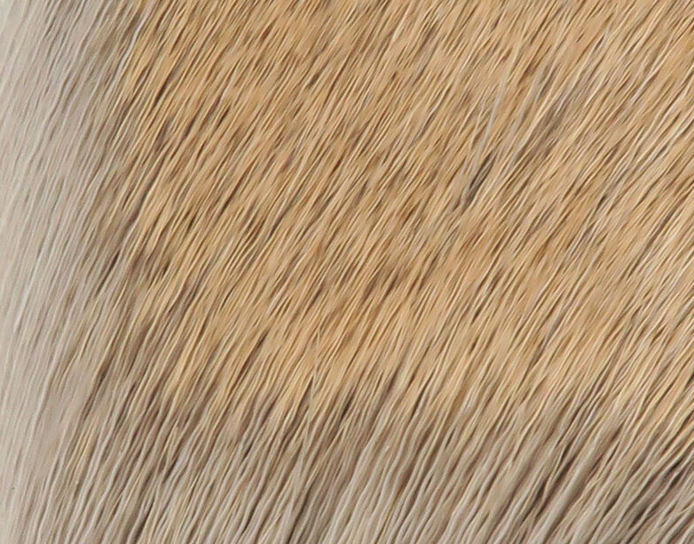 Hareline Coastal Blacktail Deer Body Hair Fly Tying Material Is A Great Fly Tying Material For Tying Trout Dry Flies