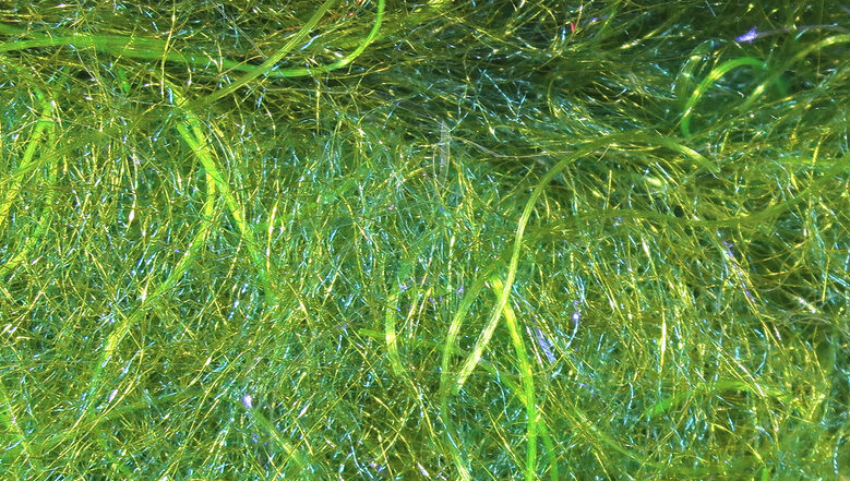 Cohen Carp Dub Is One Of The Best Fly Tying Materials To Use When Tying Carp Flies