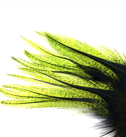 Hareline Coq De Leon UV Perdigon Fire Tail Feathers Are The Perfect Fly Tying Tail Material For Tying Perdigon Trout Flies
