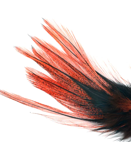 Hareline Coq De Leon UV Perdigon Fire Tail Feathers Are The Perfect Fly Tying Tail Material For Tying Perdigon Trout Flies
