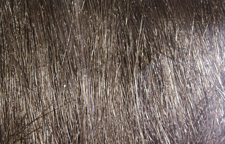 Hareline Extra Select Craft Fur Dark Brown color for fly tying natural flies