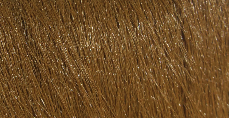 Hareline Craft Fur Is One Of The Best Fly Tying Materials For Tying Tails And Wings On Streamers And For Tying Shrimp Patterns