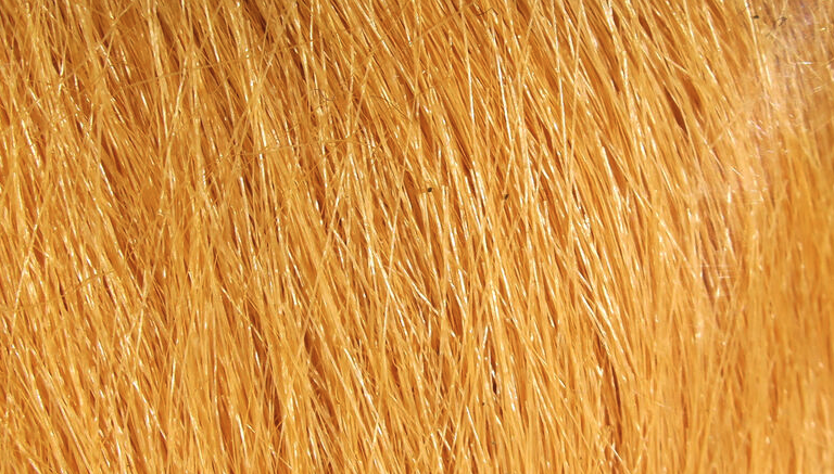 Hareline Craft Fur Is One Of The Best Fly Tying Materials For Tying Tails And Wings On Streamers And For Tying Shrimp Patterns