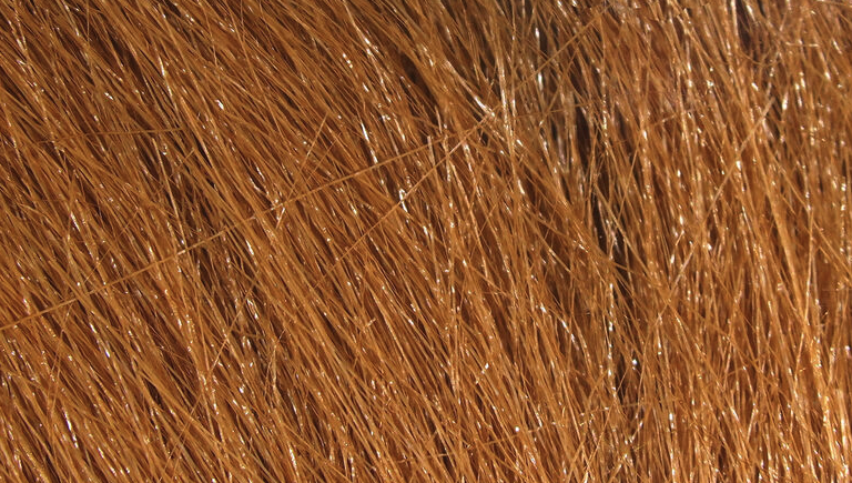 Hareline Craft Fur Is One Of The Best Fly Tying Materials For Tying Tails And Wings On Streamers And For Tying Shrimp Patterns